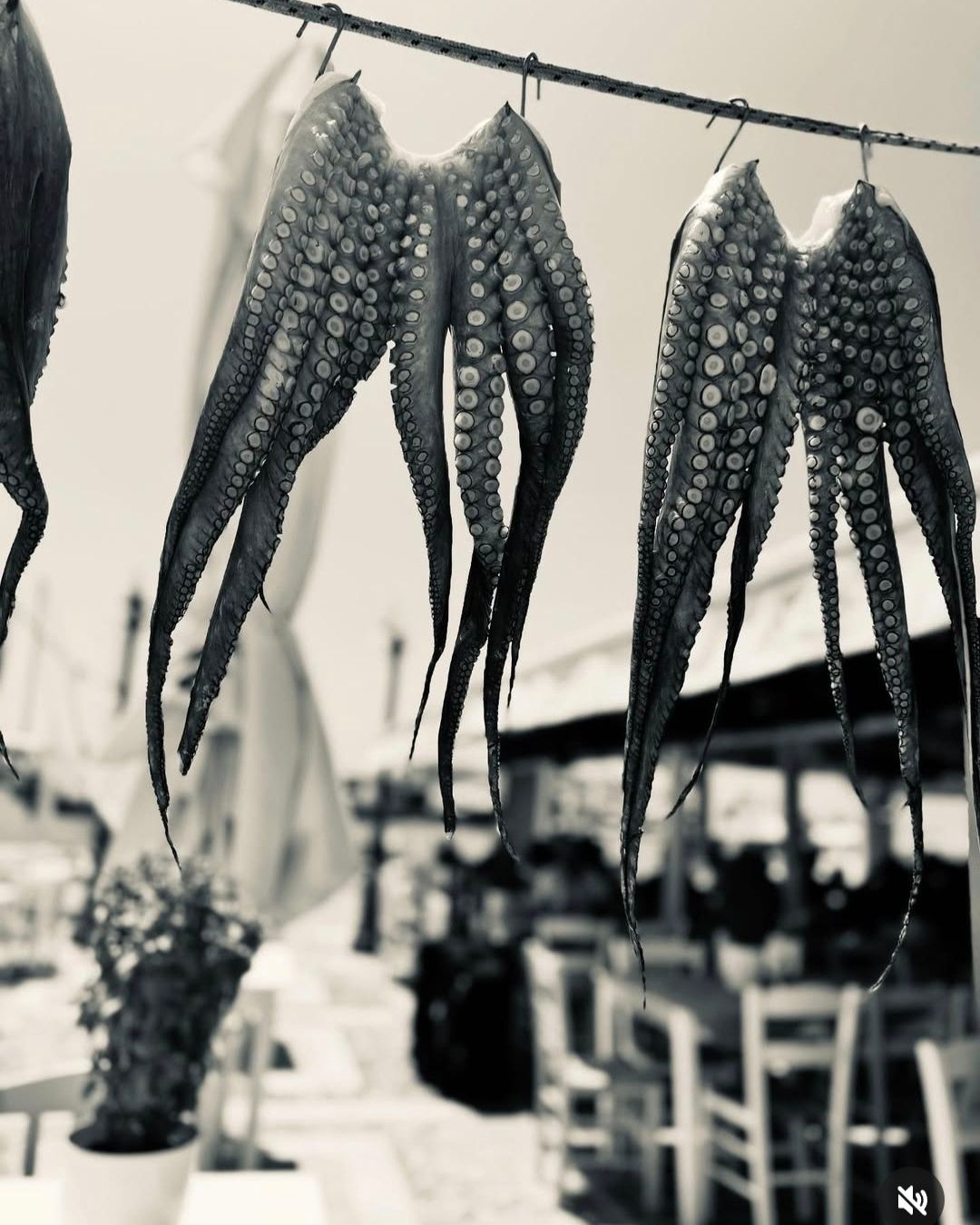MEZE MEZE