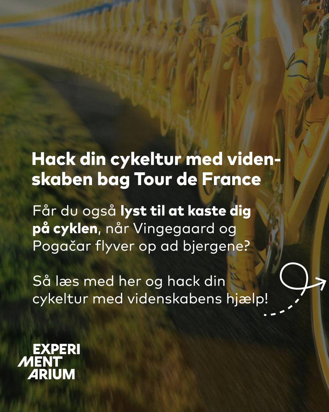 EXPERIMENTARIUM