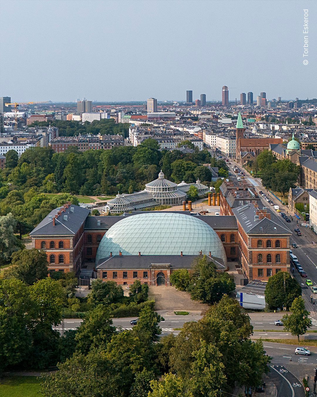 NATURAL HISTORY MUSEUM