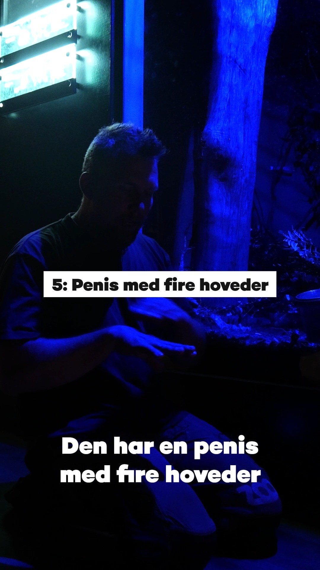 COPENHAGEN ZOO