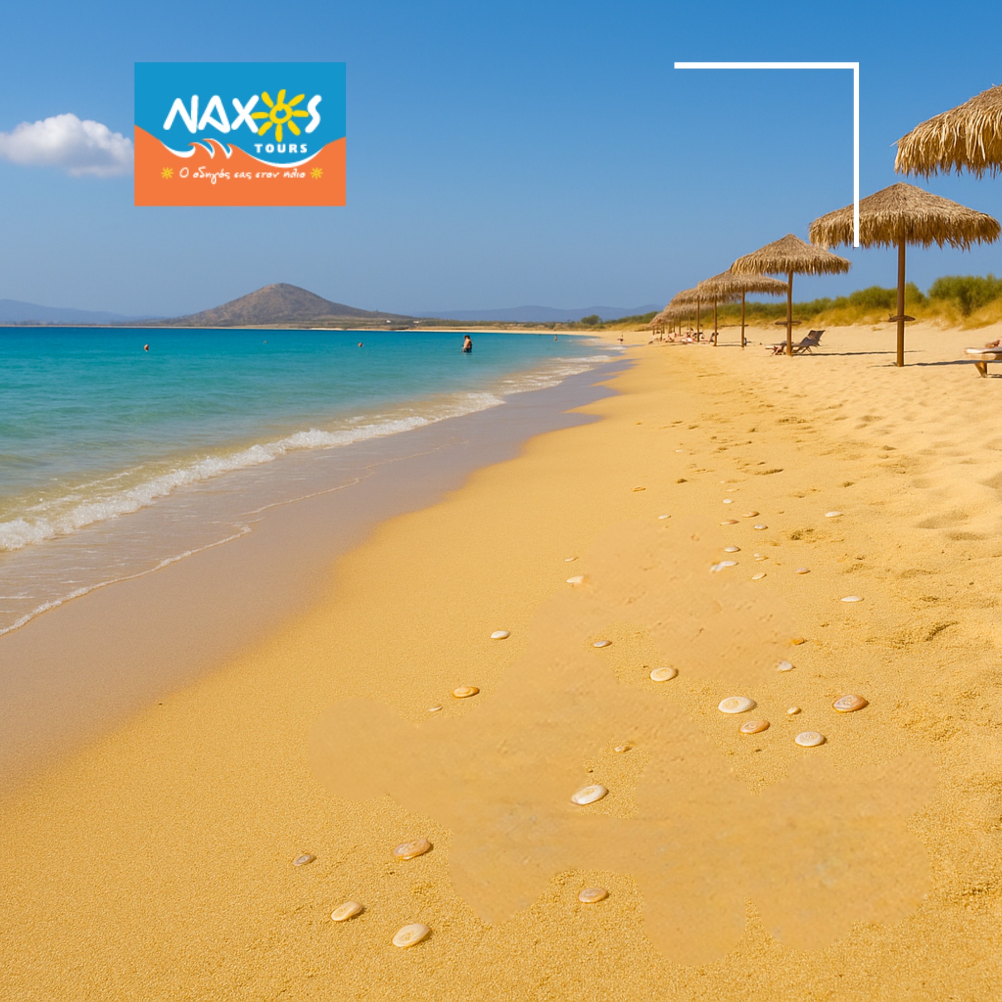 NAXOS TOURS