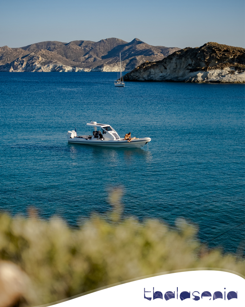 Thalasenia Cruises