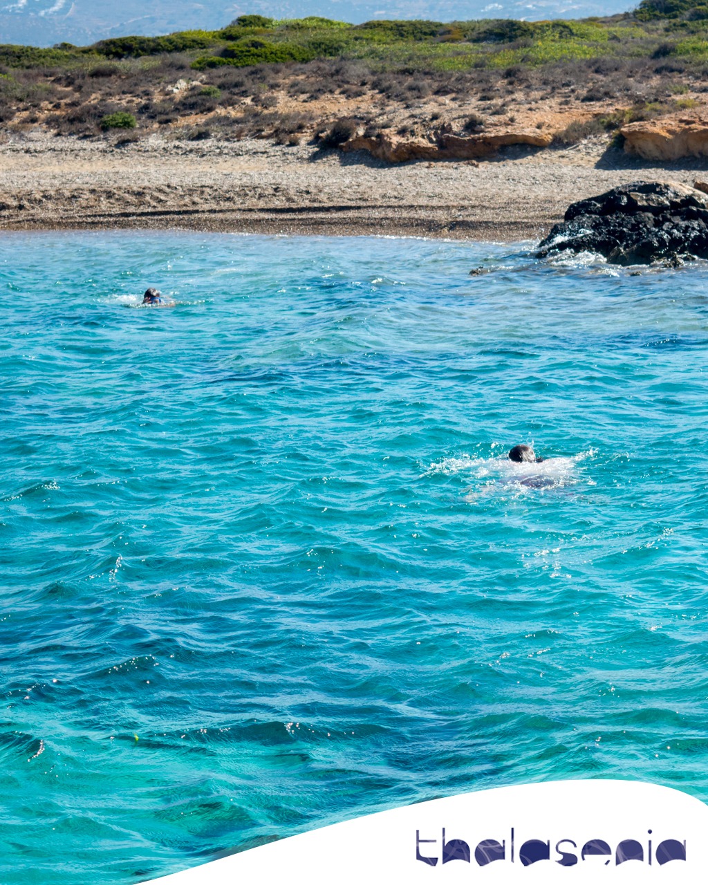 Thalasenia Cruises