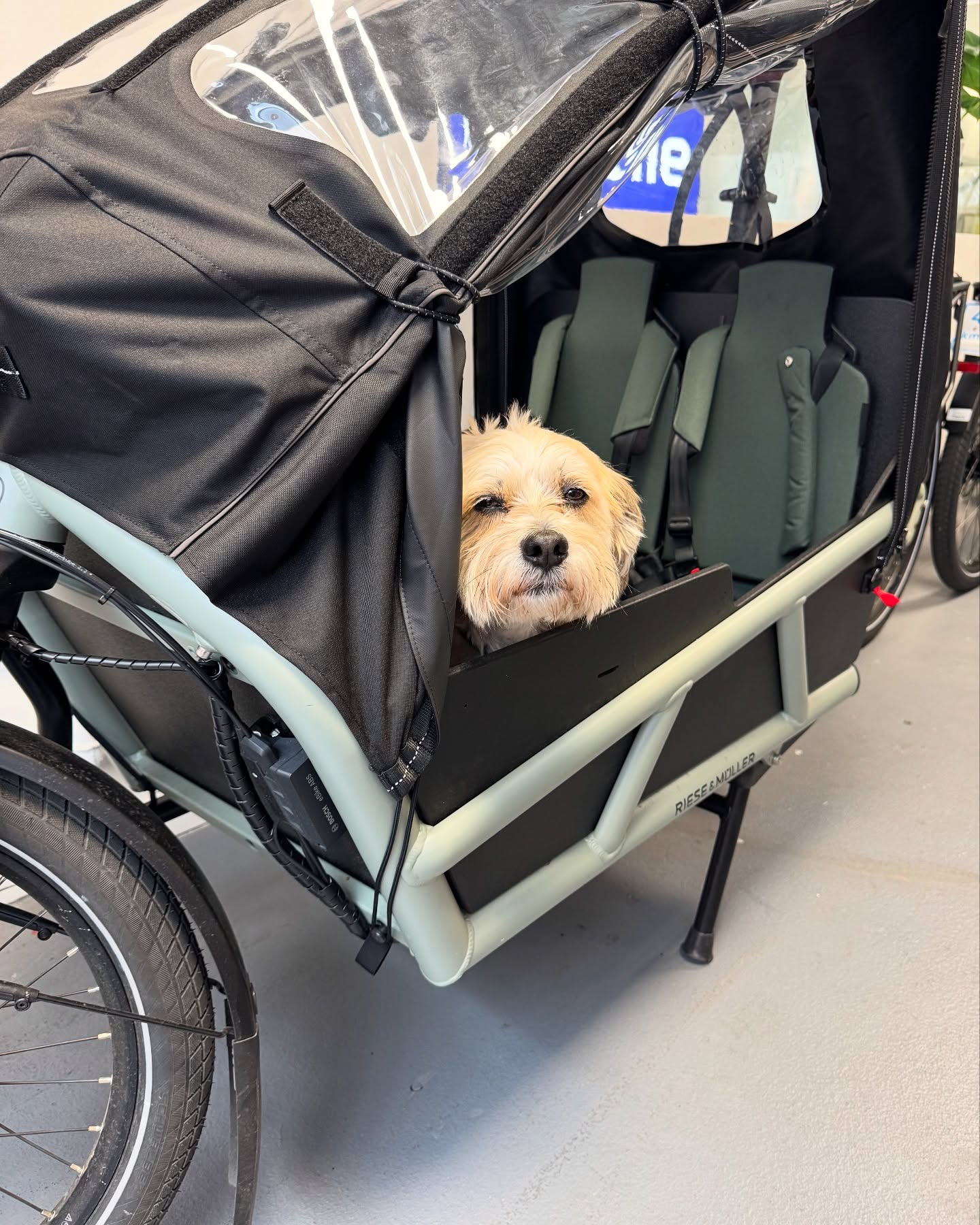 RENT A BIKE