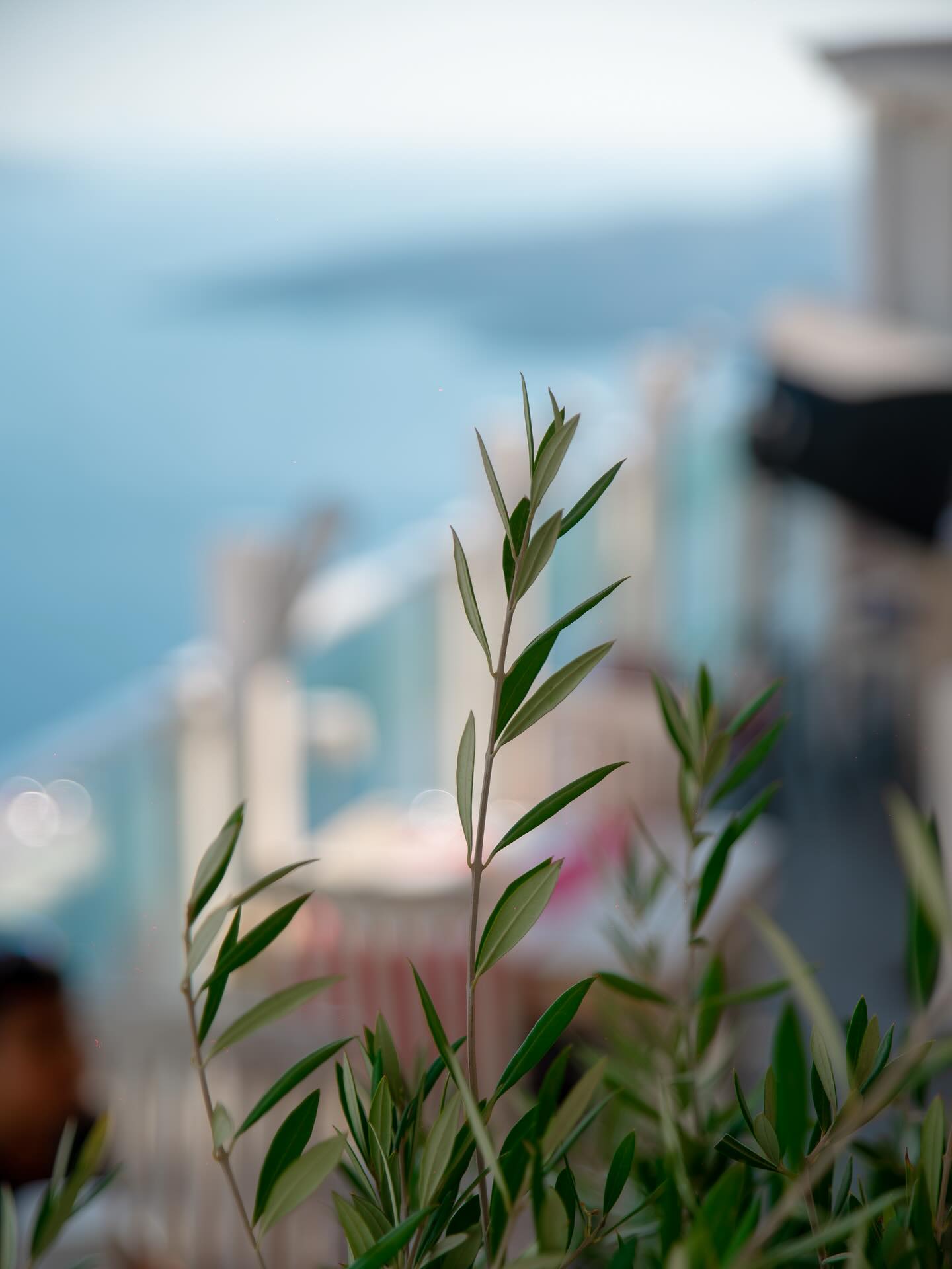 1500