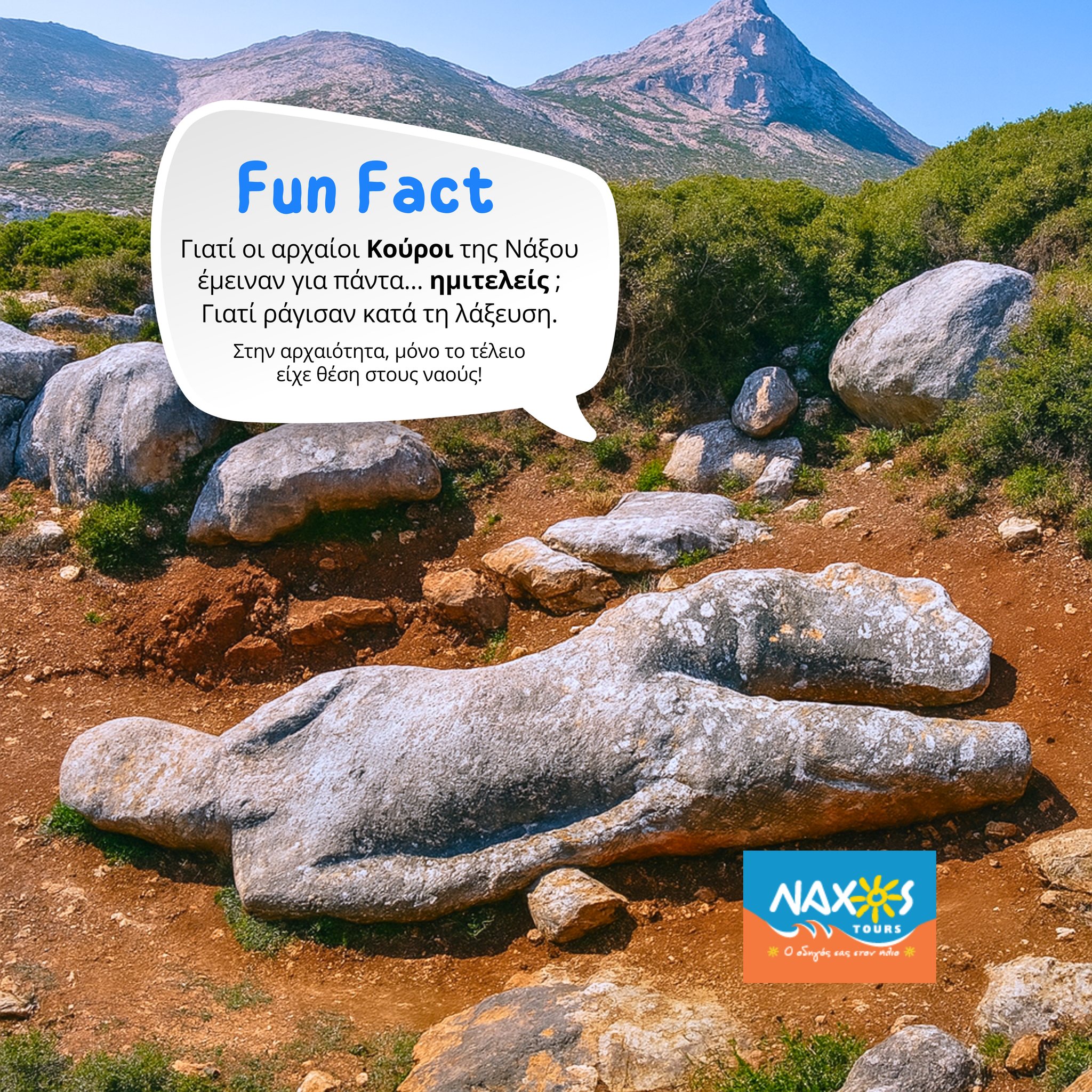 NAXOS TOURS