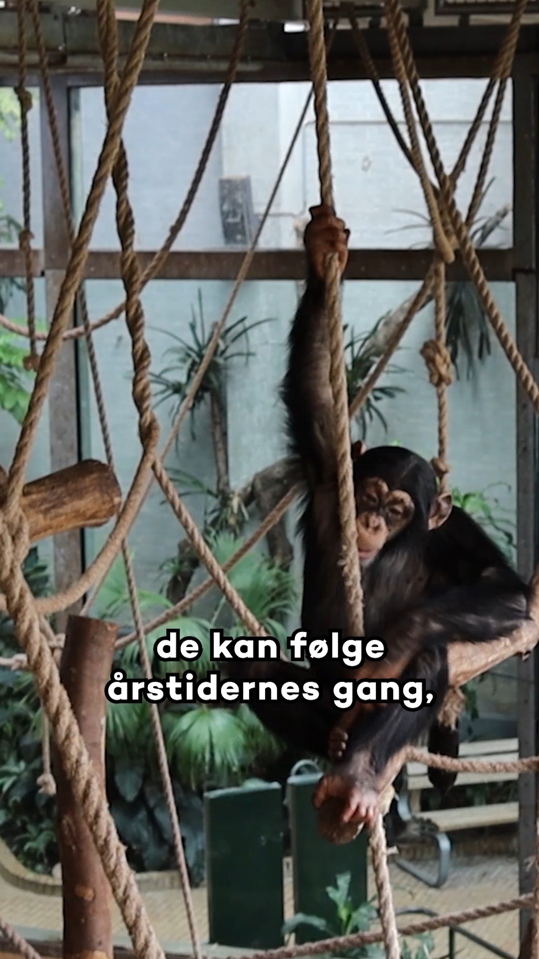 COPENHAGEN ZOO