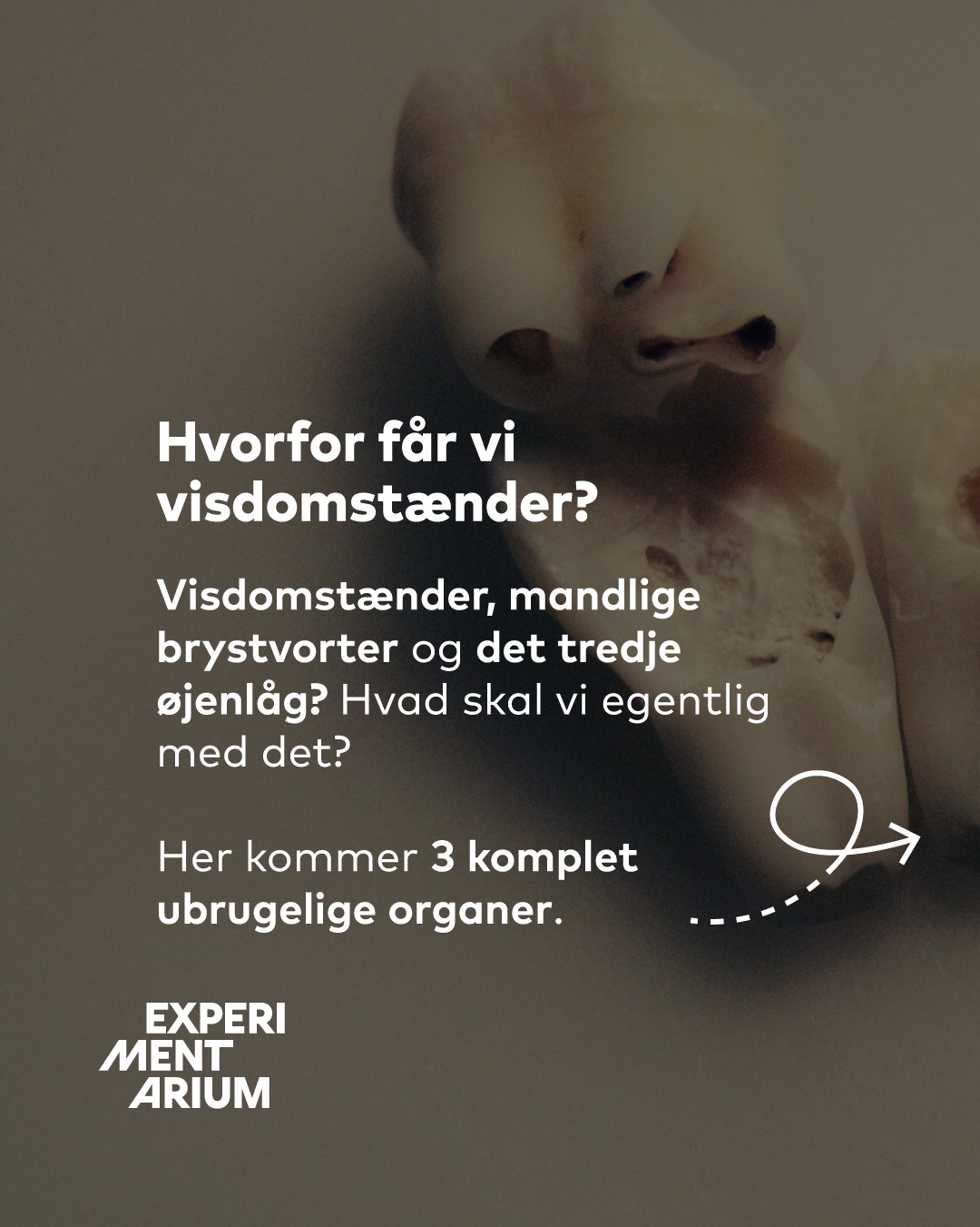 EXPERIMENTARIUM