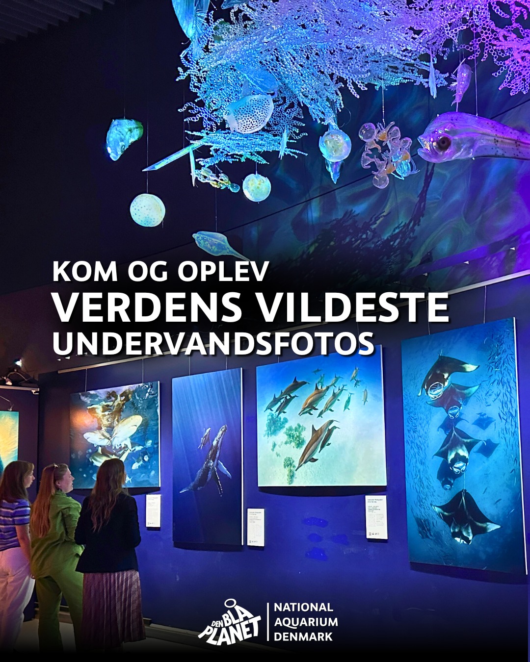 DEN BLÅ PLANET