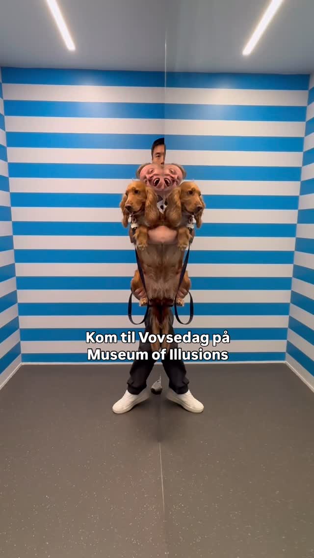 MUSEUM OF ILLUSIONS