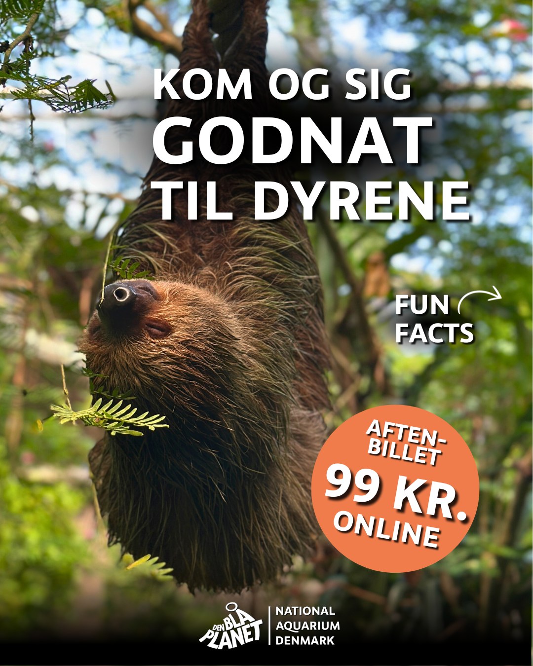 DEN BLÅ PLANET