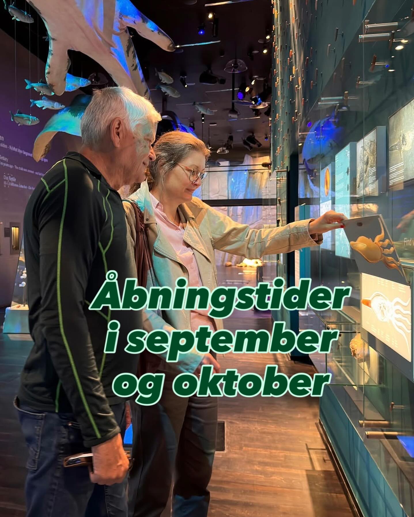 GEOCENTER MØNS KLINT