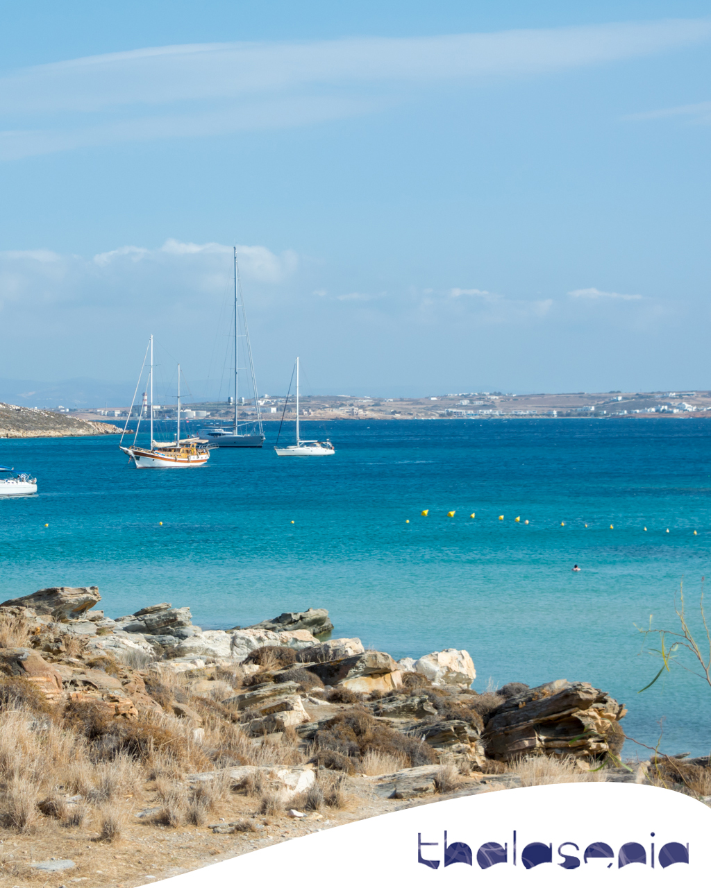 Thalasenia Cruises