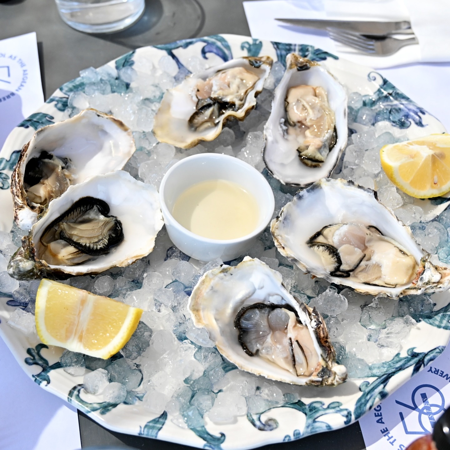 Blue Oyster