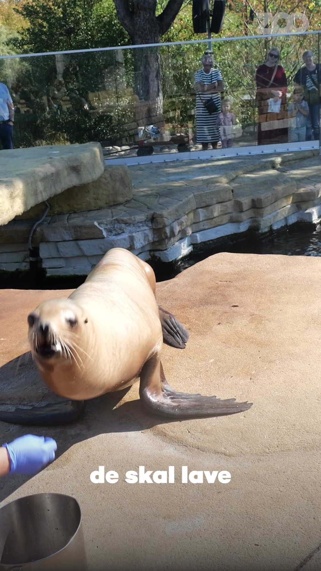 COPENHAGEN ZOO