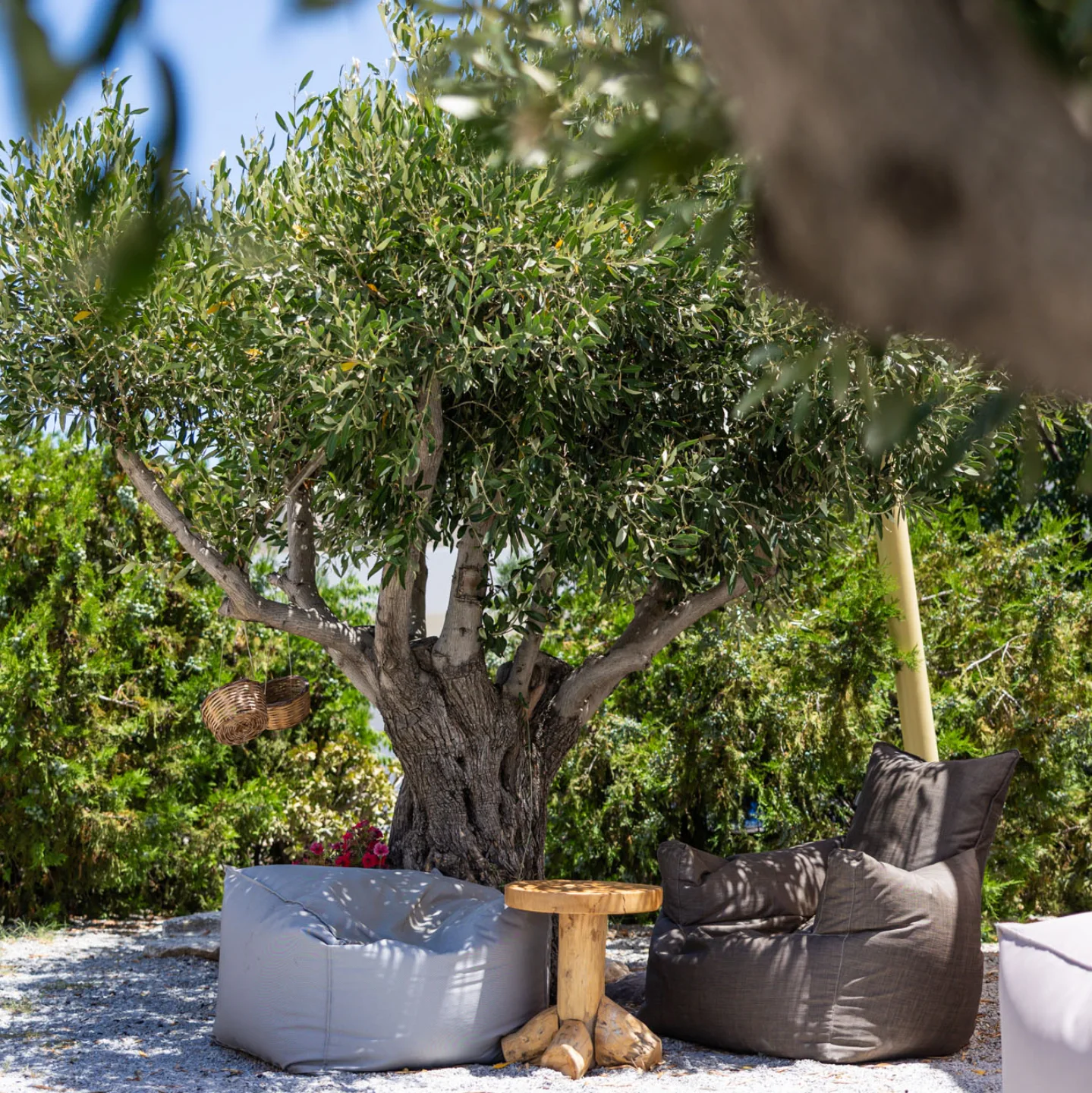 EGGARES OLIVE PRESS