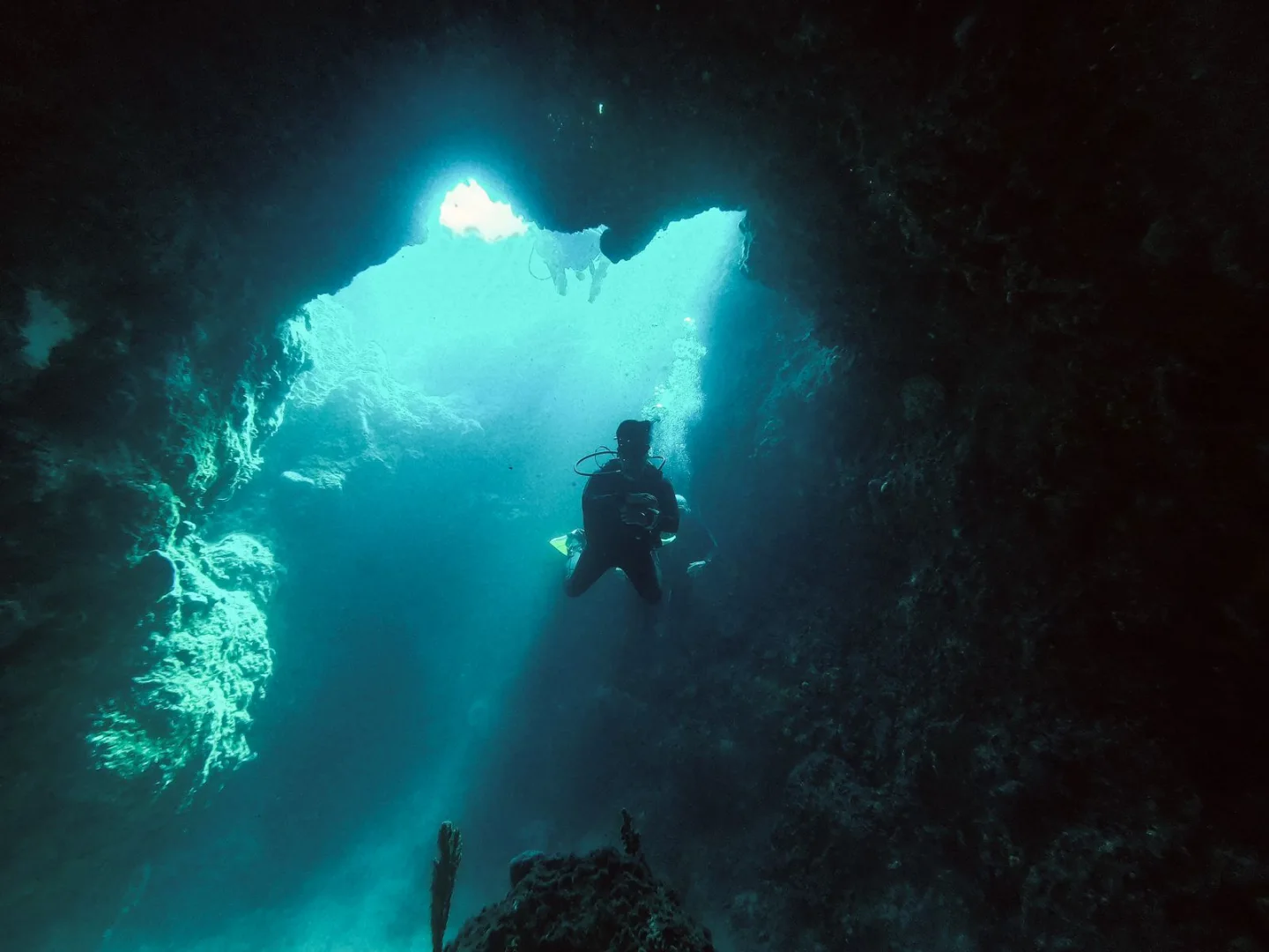 BLUE FIN DIVERS