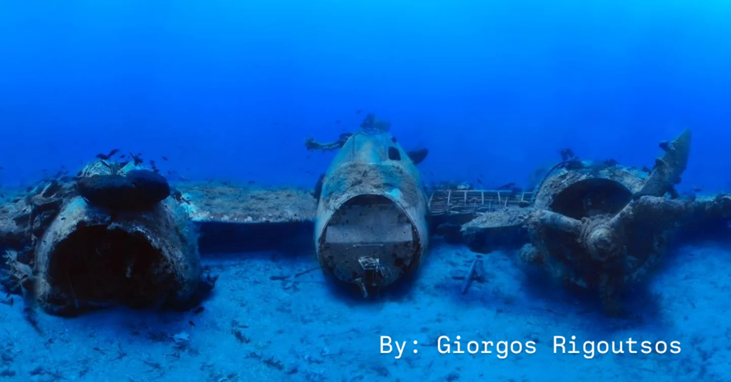 BLUE FIN DIVERS