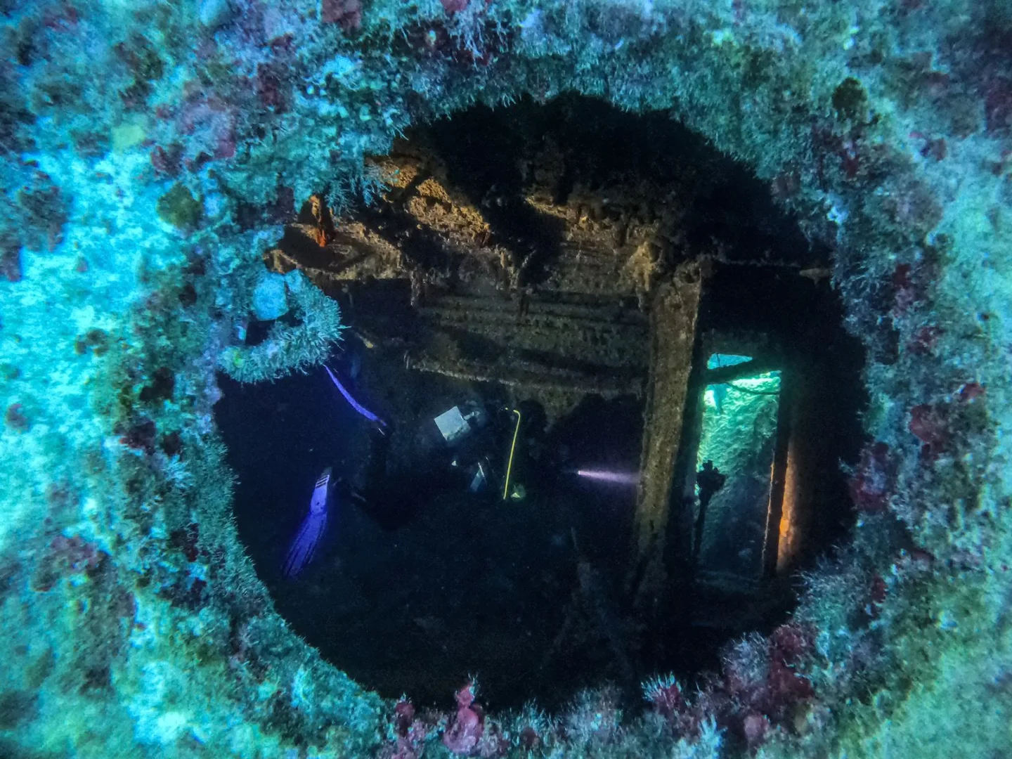 BLUE FIN DIVERS