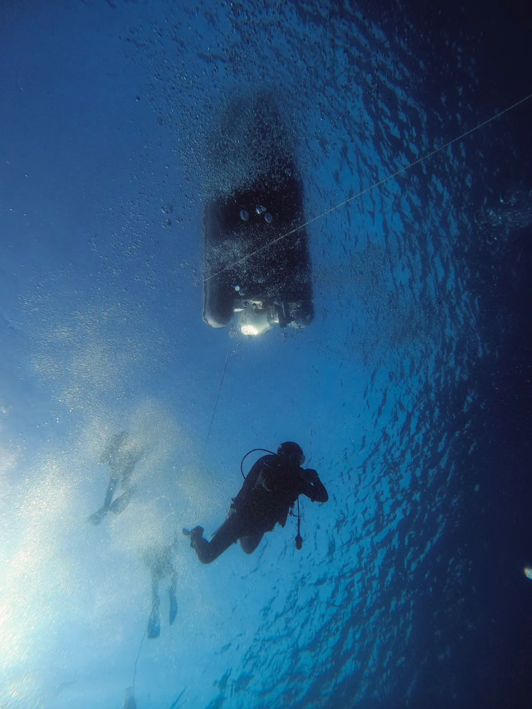BLUE FIN DIVERS