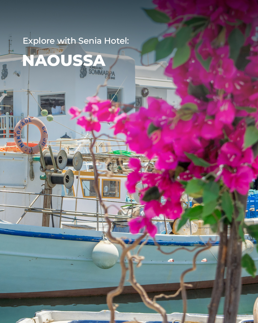 Senia Hotel