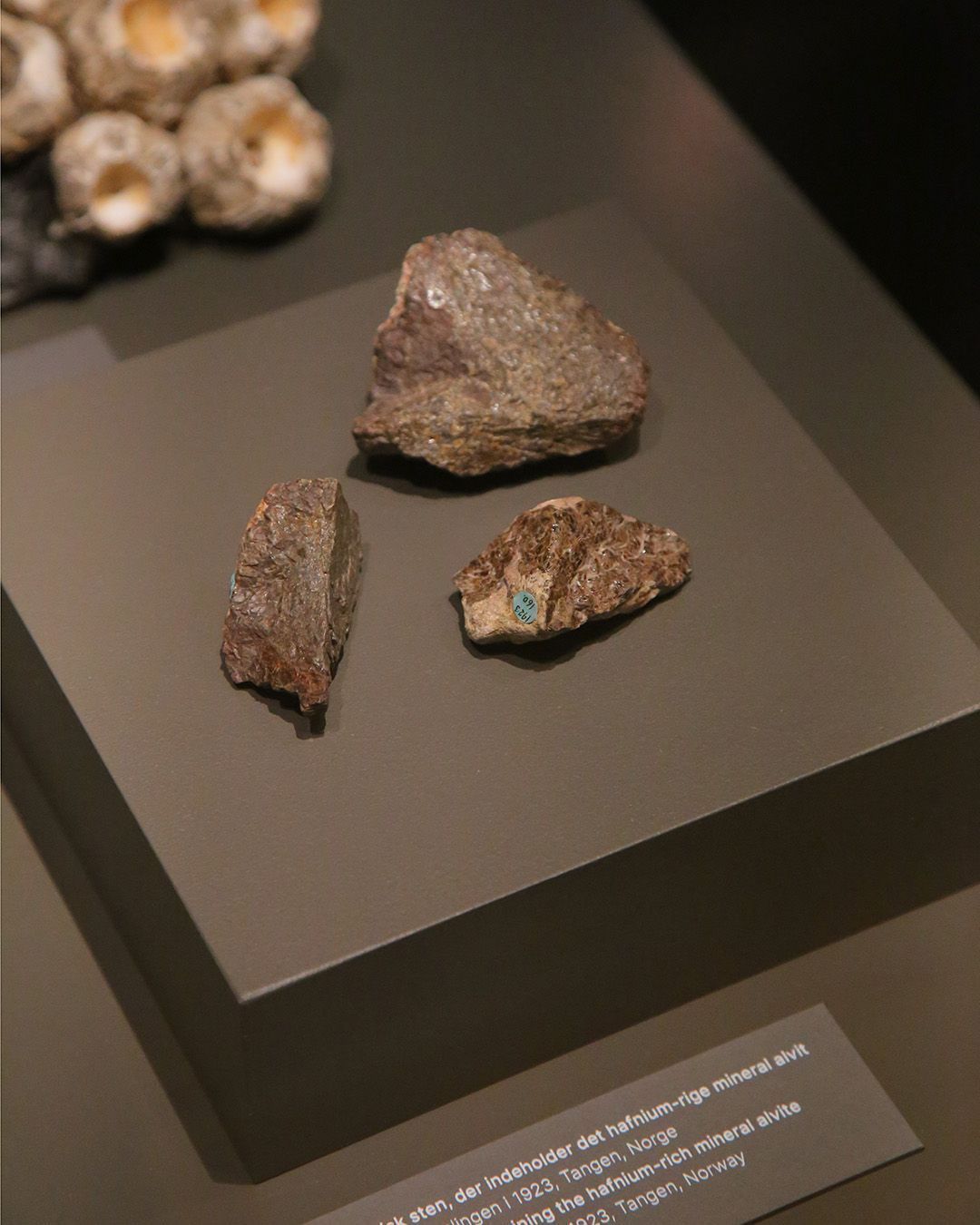 NATURAL HISTORY MUSEUM