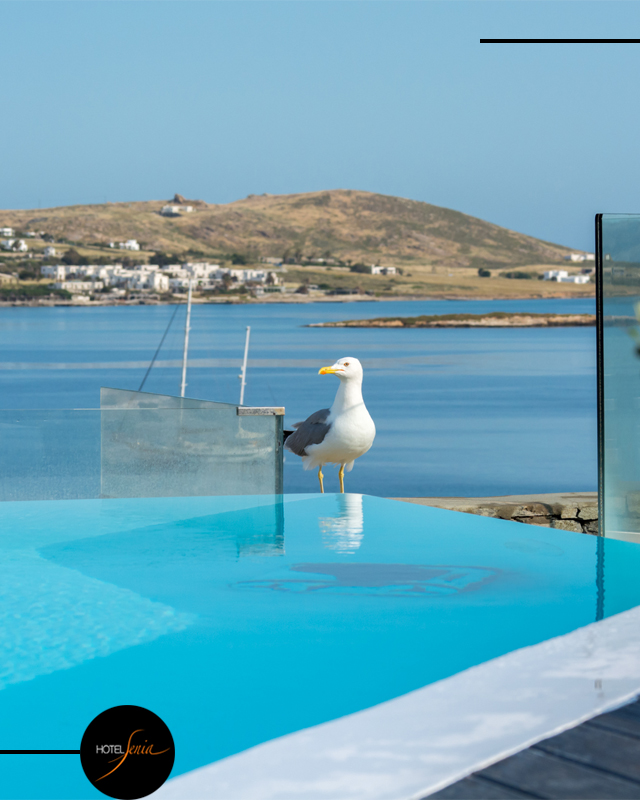Senia Hotel