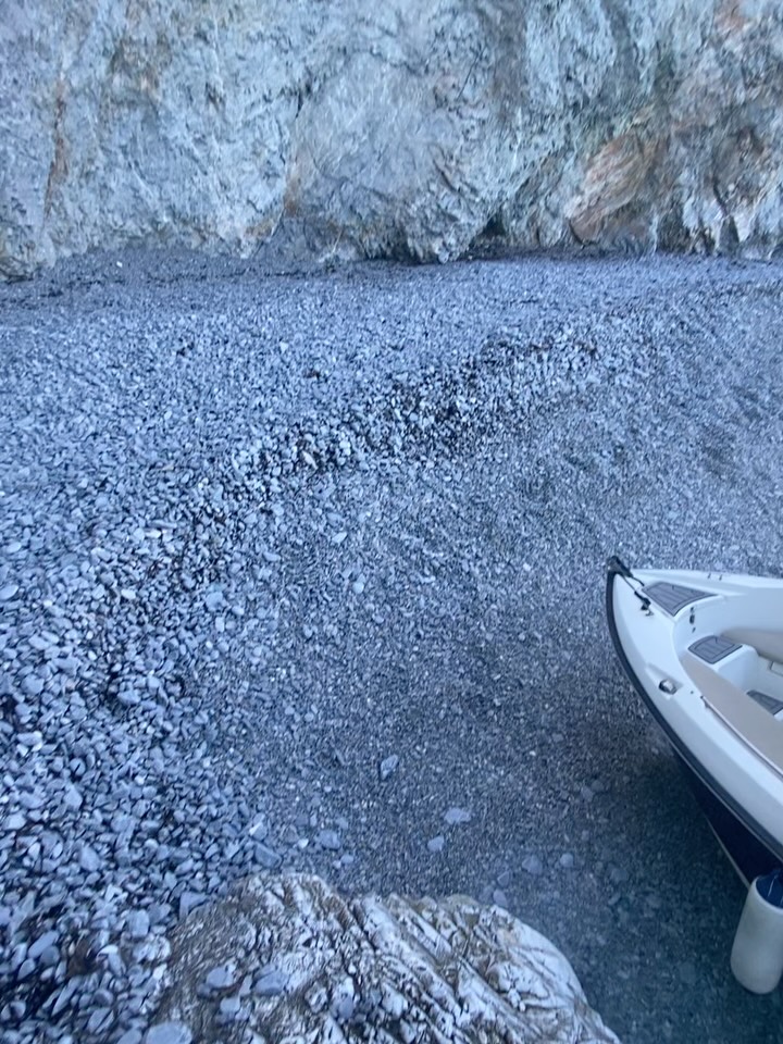 GEORGE BOAT RENTAL