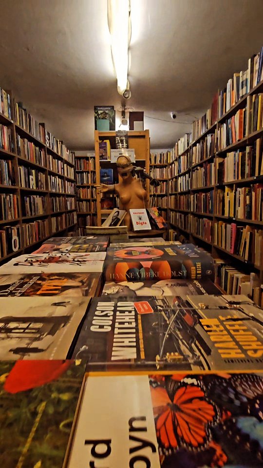 PALUDAN BOOK CAFE