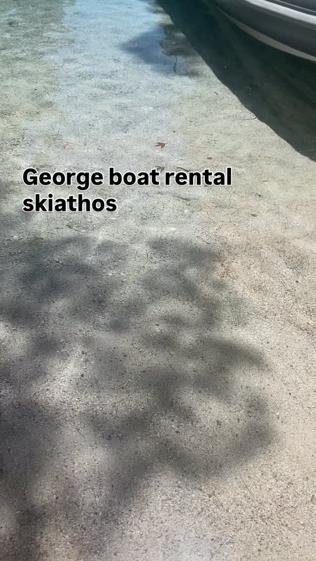 GEORGE BOAT RENTAL