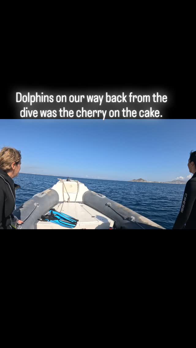 BLUE FIN DIVERS