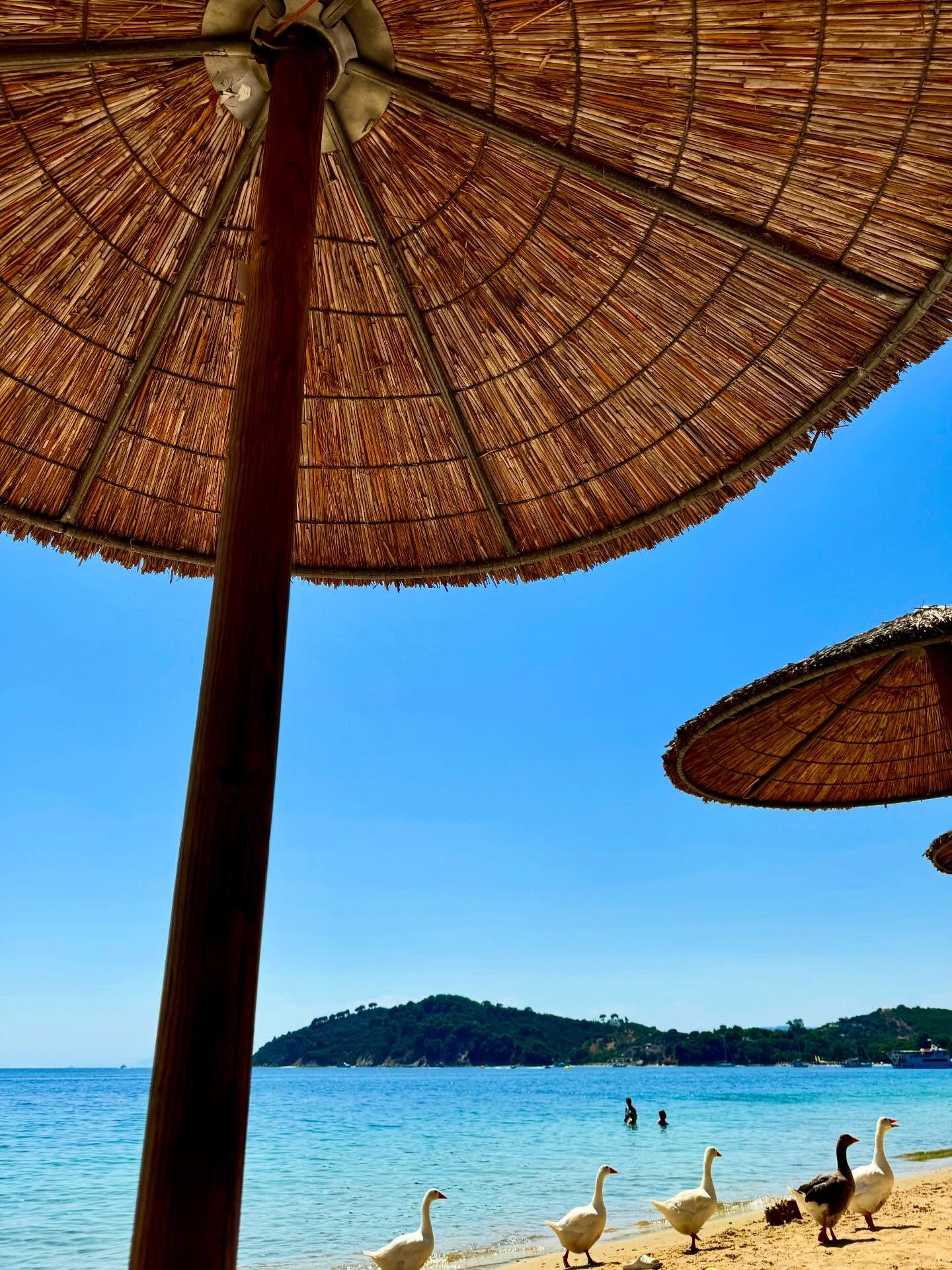 MARATHA BEACH