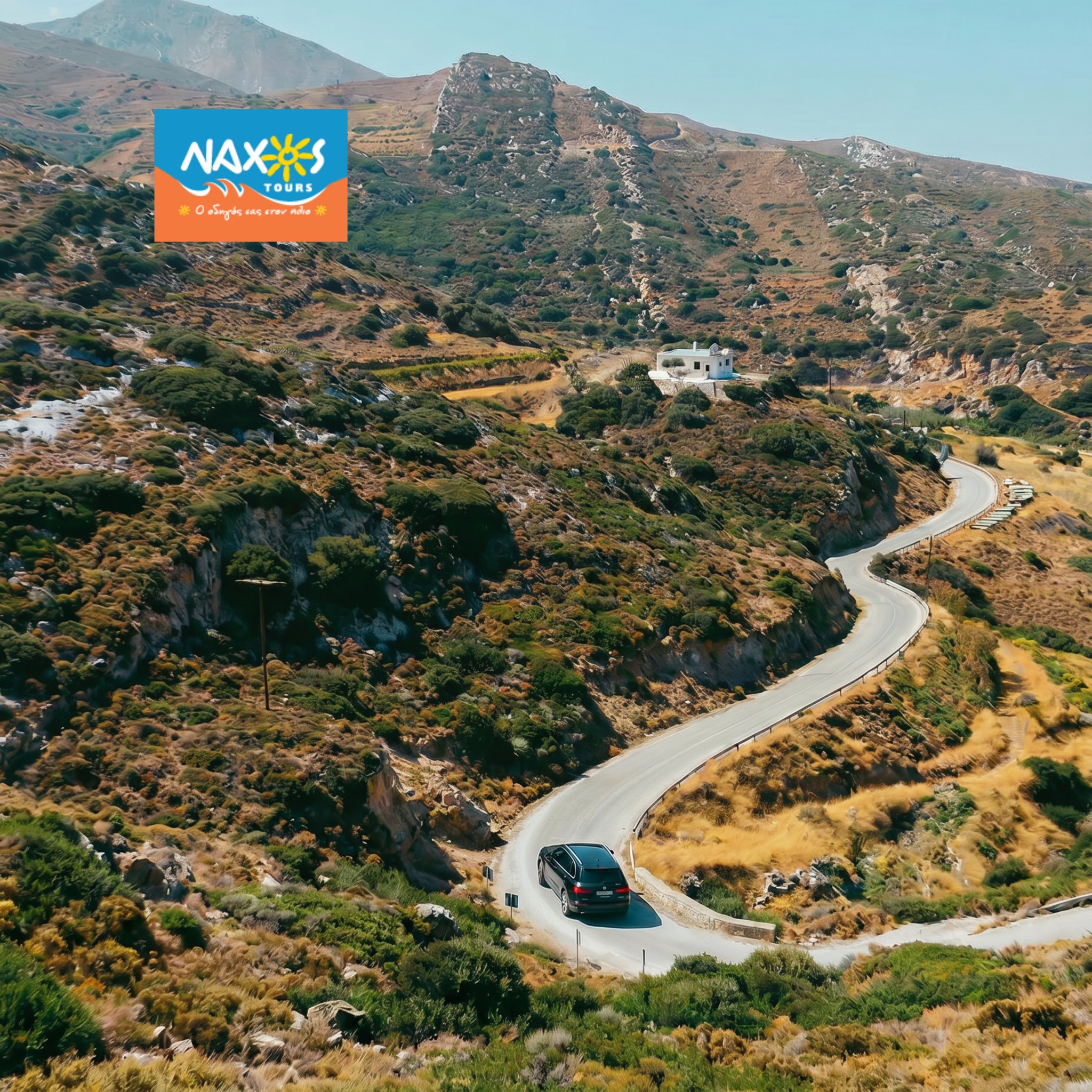 NAXOS TOURS