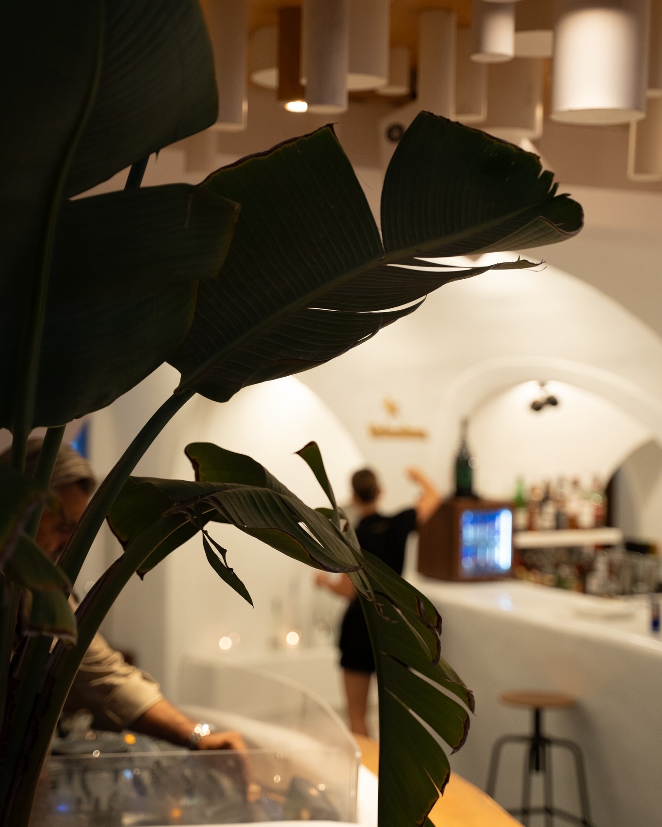 TANGO BAR