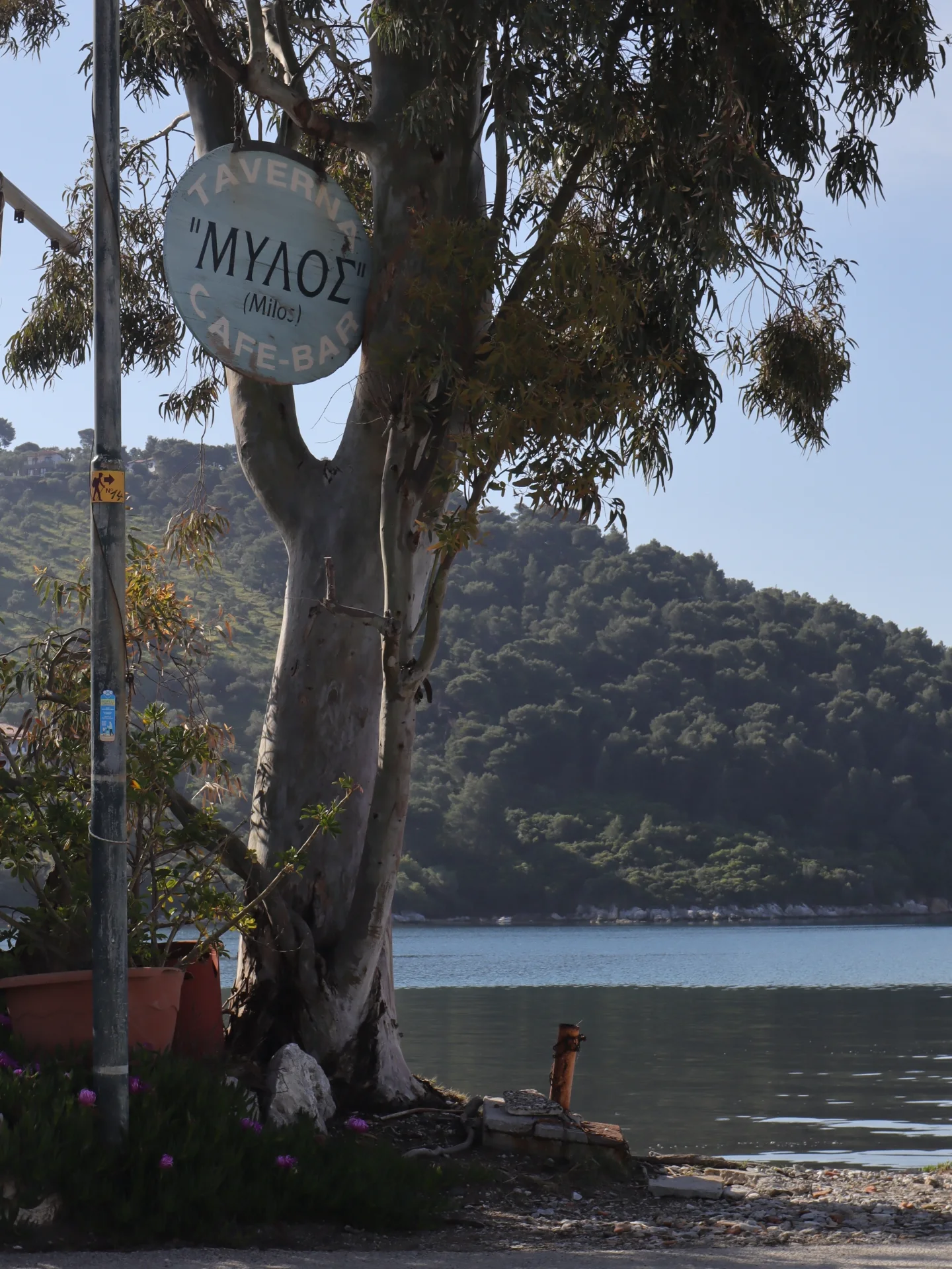MYLOS TAVERNA