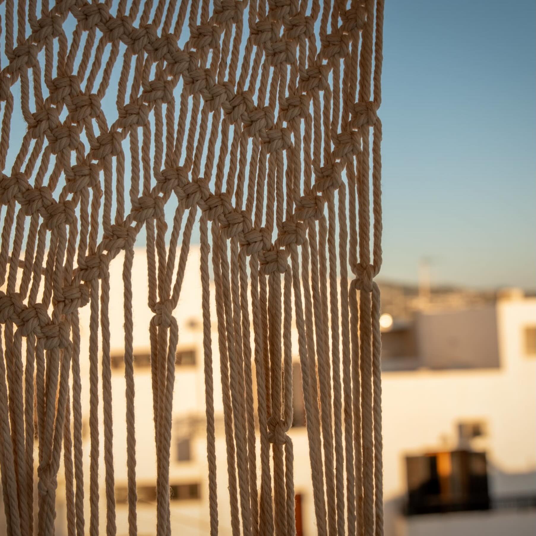 NAXOS ACTIVITIES