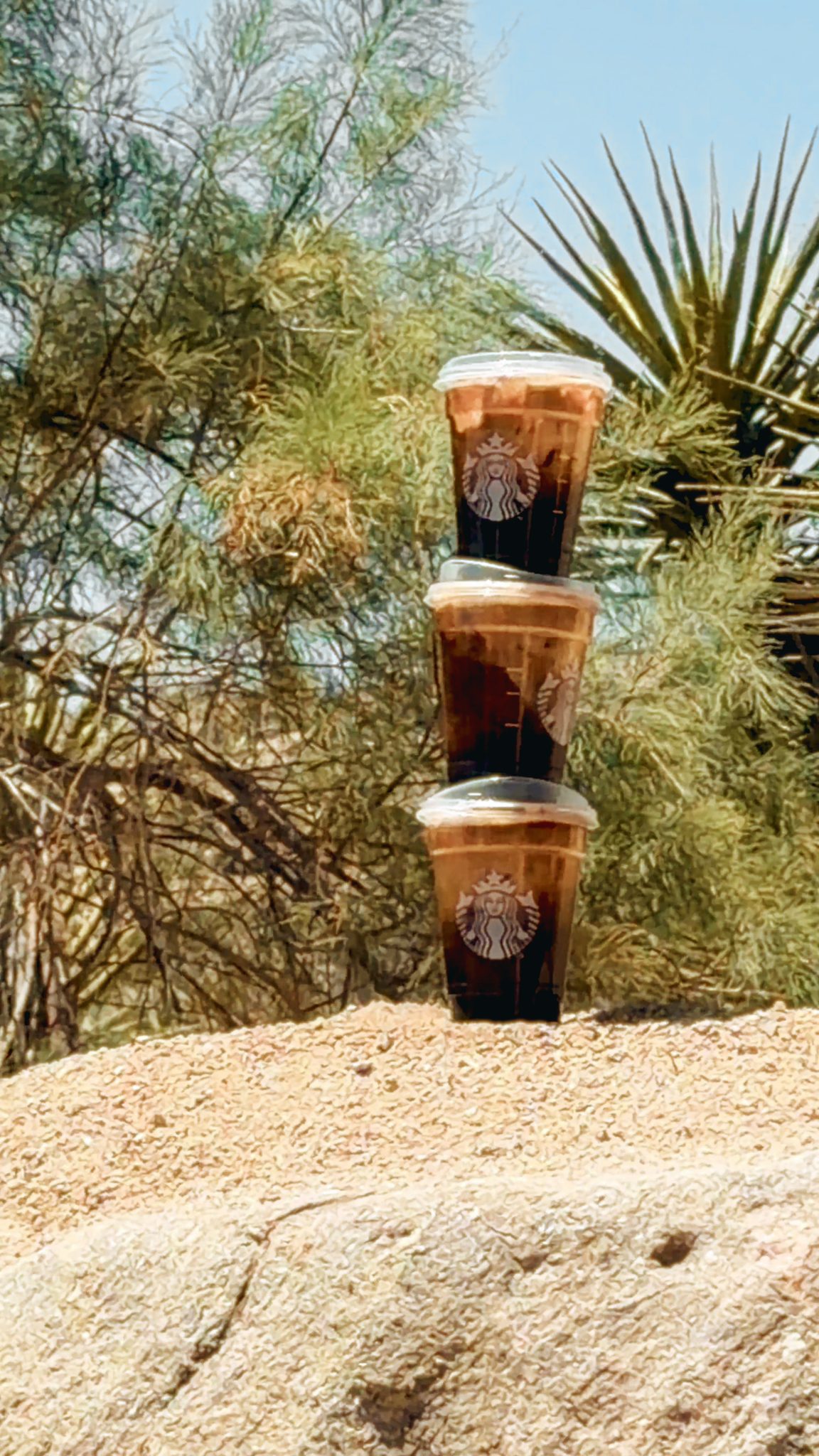 STARBUCKS