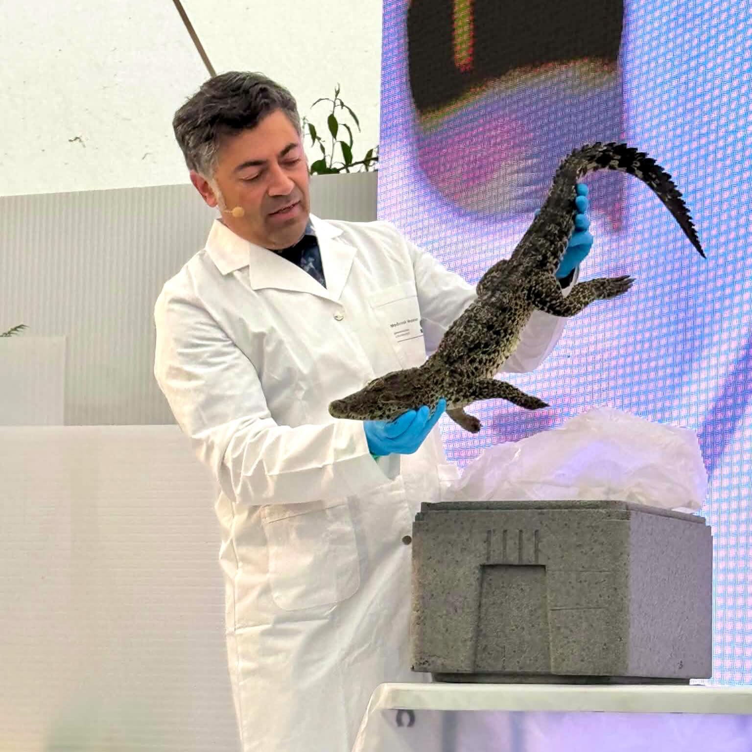 MEDICAL MUSEION