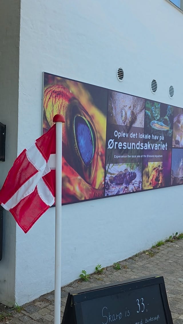 ØRESUND AQUARIUM, Sealand Coast