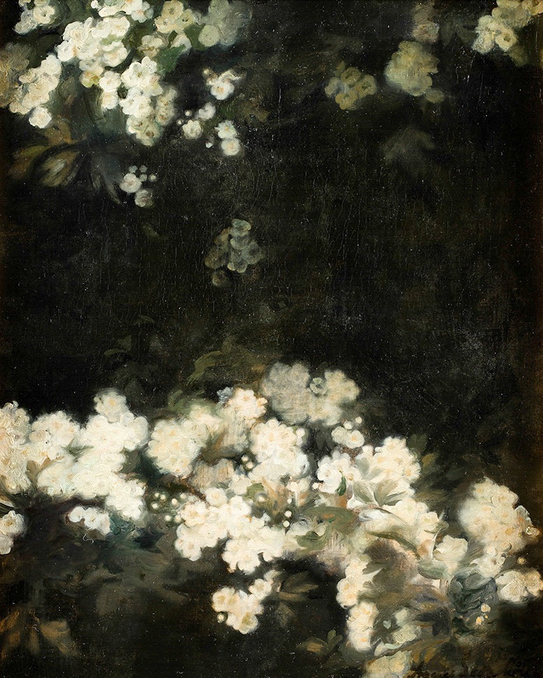 THE HIRSCHSPRUNG COLLECTION