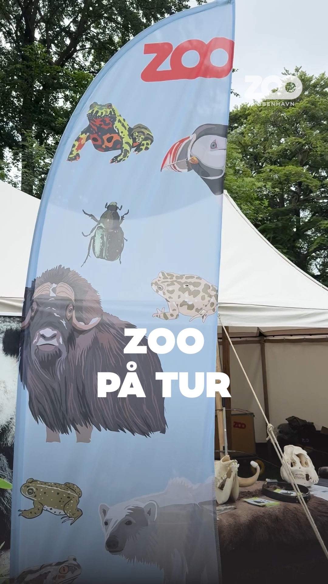 COPENHAGEN ZOO, Greater Map