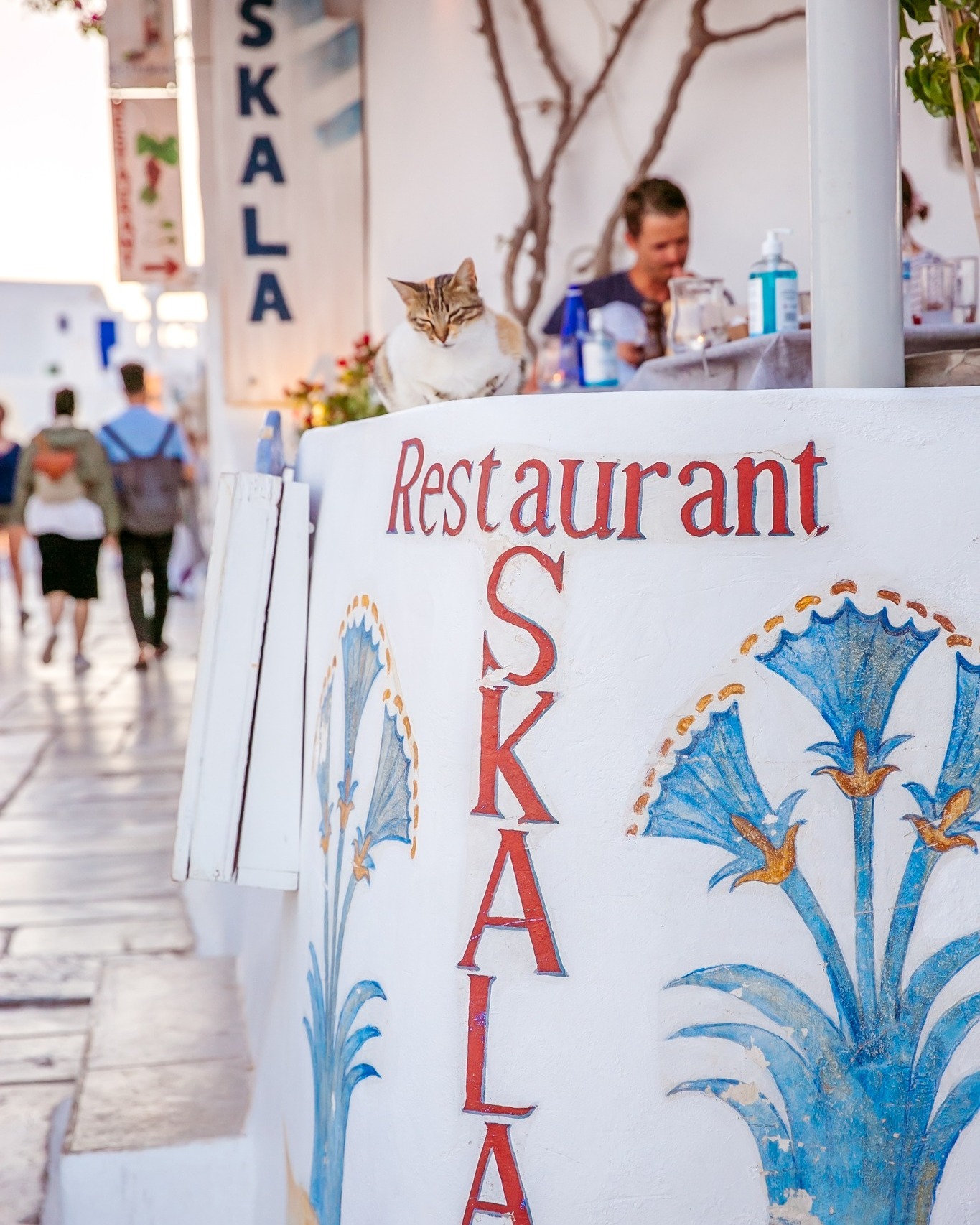 SKALA