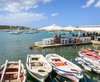 Aliki