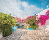 Prodromos