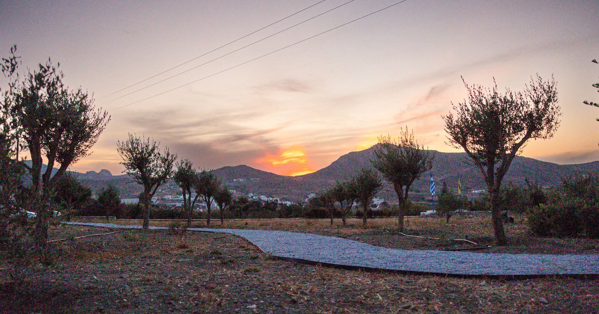 Eggares Olive Oil Museum