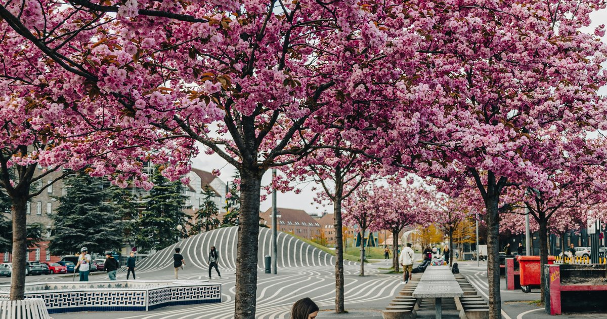 The Coolest Corners of Copenhagen