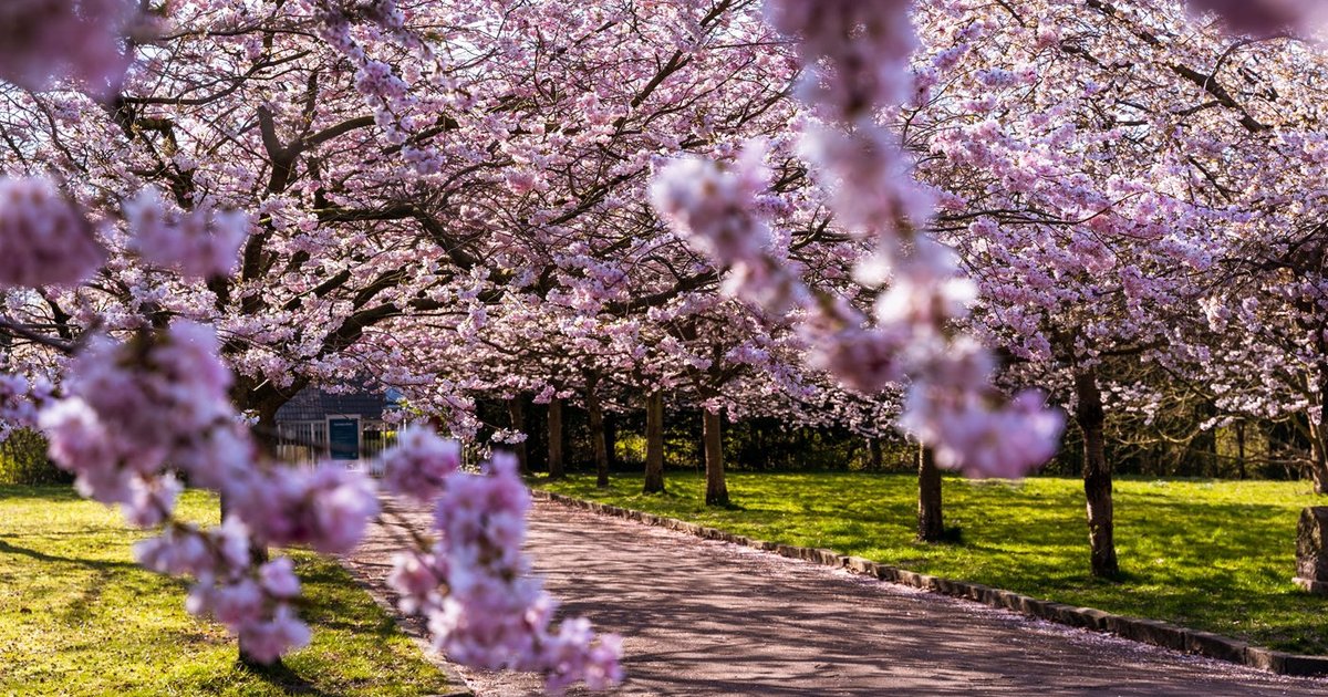 Spring in Copenhagen: A Fresh Start in the Danish Capital