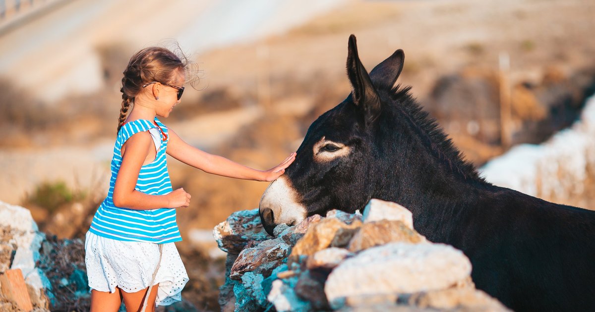 Naxos Activities: Experience the Island Like a Local