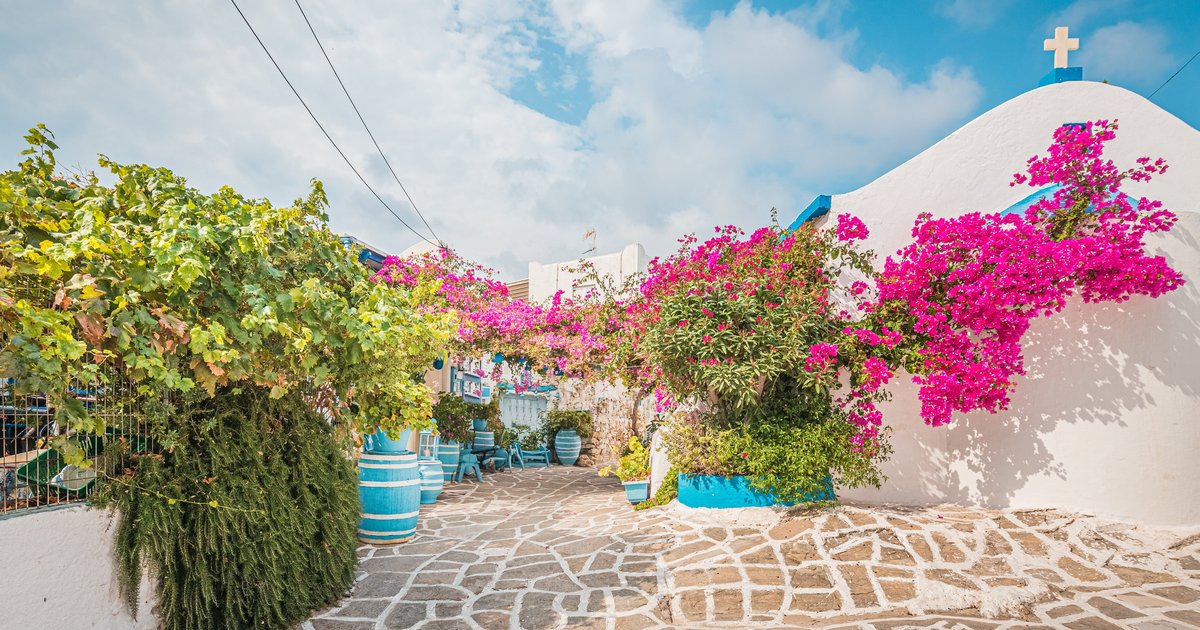 Prodromos