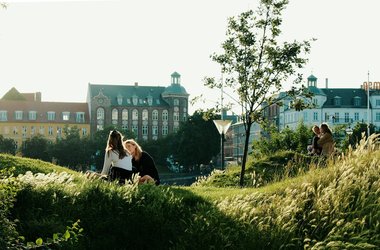 A Glimpse Of Copenhagen